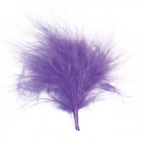 Sachet de 20 plumes parme