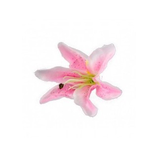 6 Fleurs tropicales roses 
