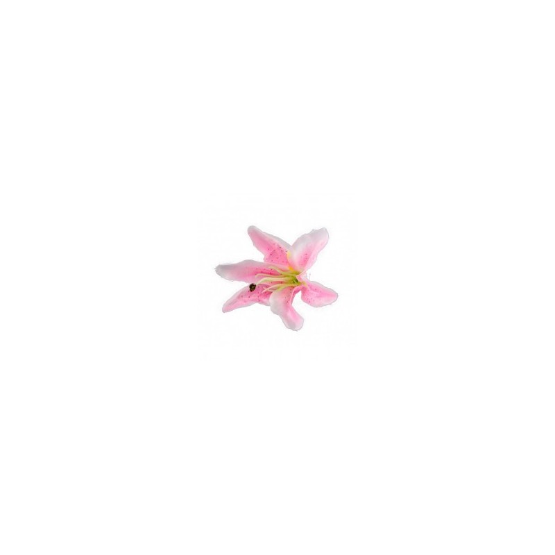 6 fiori tropicali rosa
