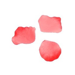 Petali, 100 pezzi, rouge