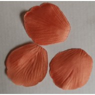 Petali, 100 pezzi, mandarino