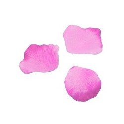 100 Blüten, fuchsia