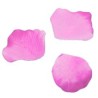 100 Blüten, fuchsia