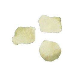 Pétales, 100 pièces, ivoire