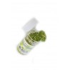 Brillantini da 14 gr, verde menta