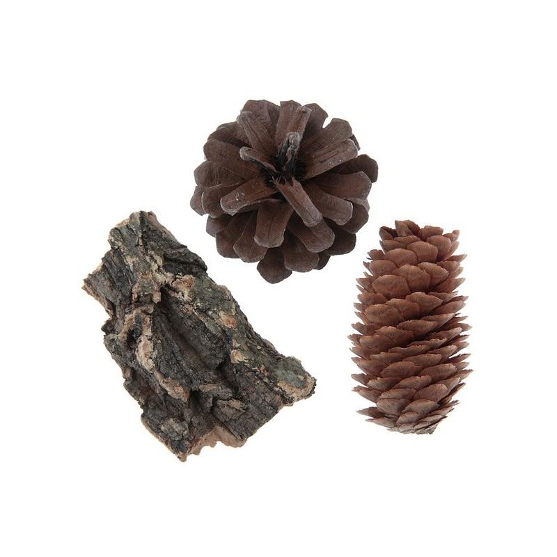 9 pcs d'assortiment nature, bois 