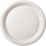 100 Assiettes en carton Ø 22cm 