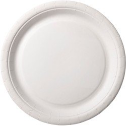 100 Pappteller Ø 22cm