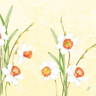 50 tovaglioli classici, daffodil Joy, 4 veli, 40x40 cm