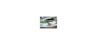 8 Ronds de serviette en bois Ø 3CM X 1.8CM Ht.