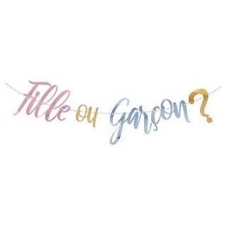 1 Gender Reveal Girlande Mädchen oder Junge? 2,5 m