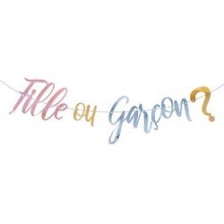 1 Gender Reveal ghirlanda Fille ou garçon ? 2,5 m