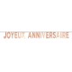 1 Roségoldkartonbanner „Joyeux Anniversaire“ 13 x 13 x 250 cm