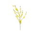 Forsythia avec feuilles 95cm