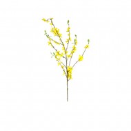 Forsythia avec feuilles 95cm