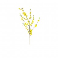 Forsythia avec feuilles 95cm