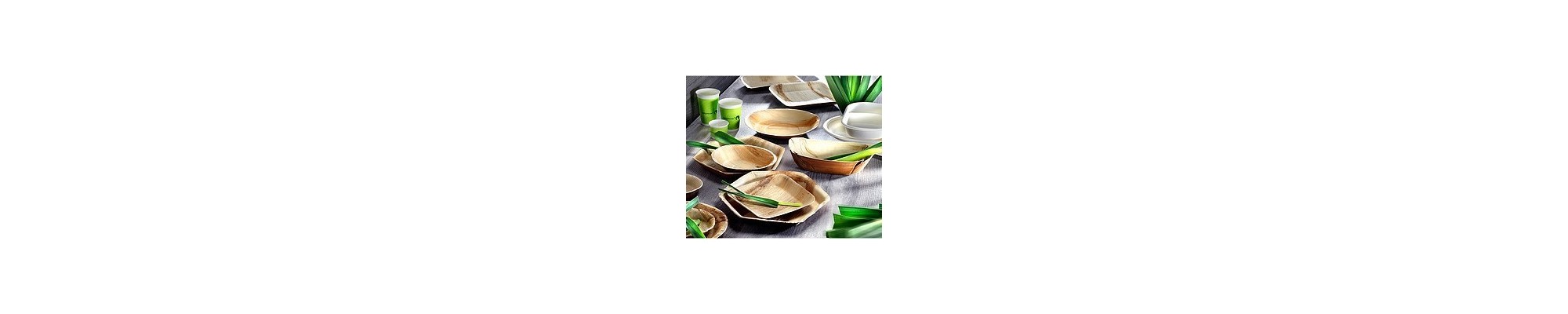 Vaisselle jetable biodégradable palmier