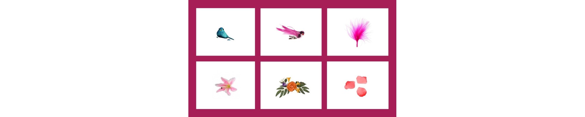 Oiseaux-Fleurs