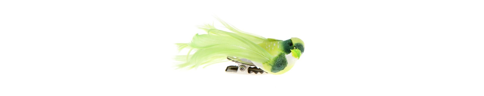 Papillons / Oiseaux