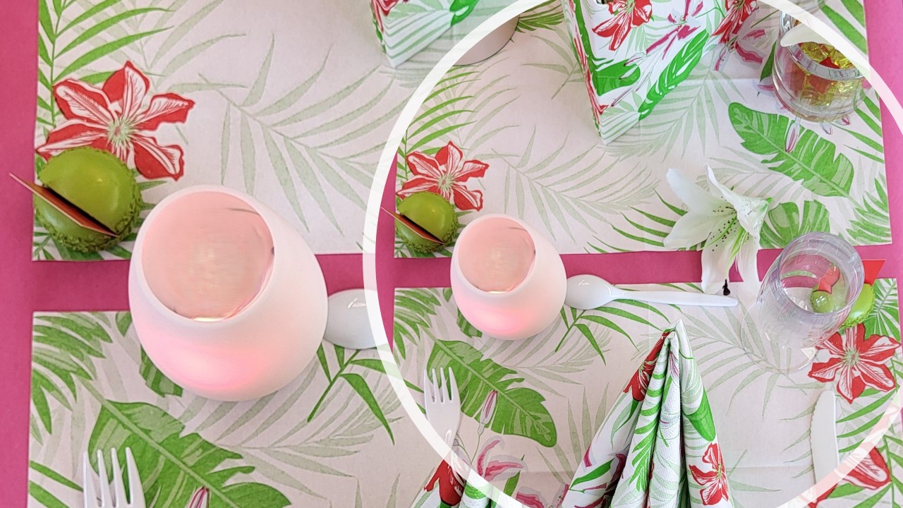 Quasi i tropici